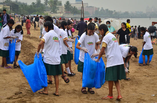 tree plantation project