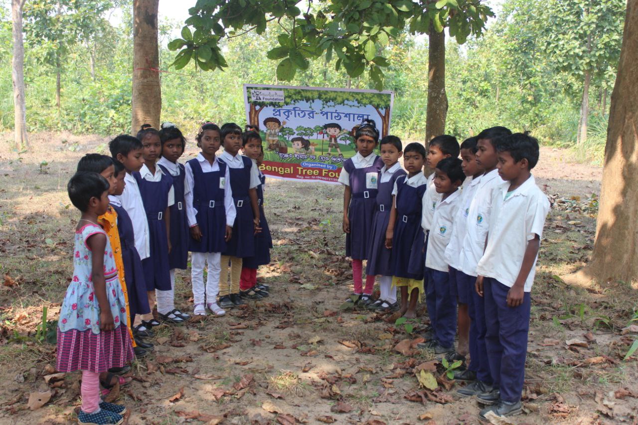 tree plantation image