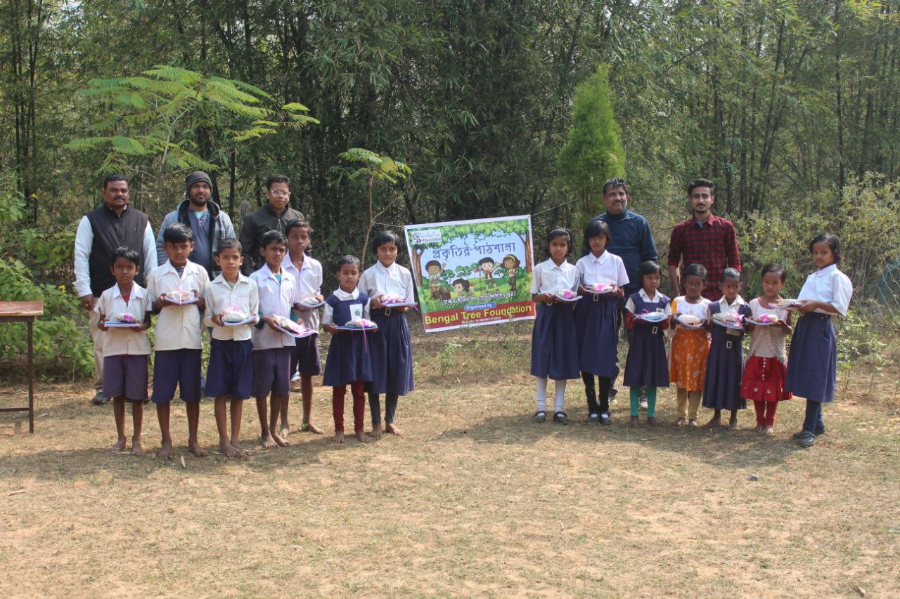 tree plantation image