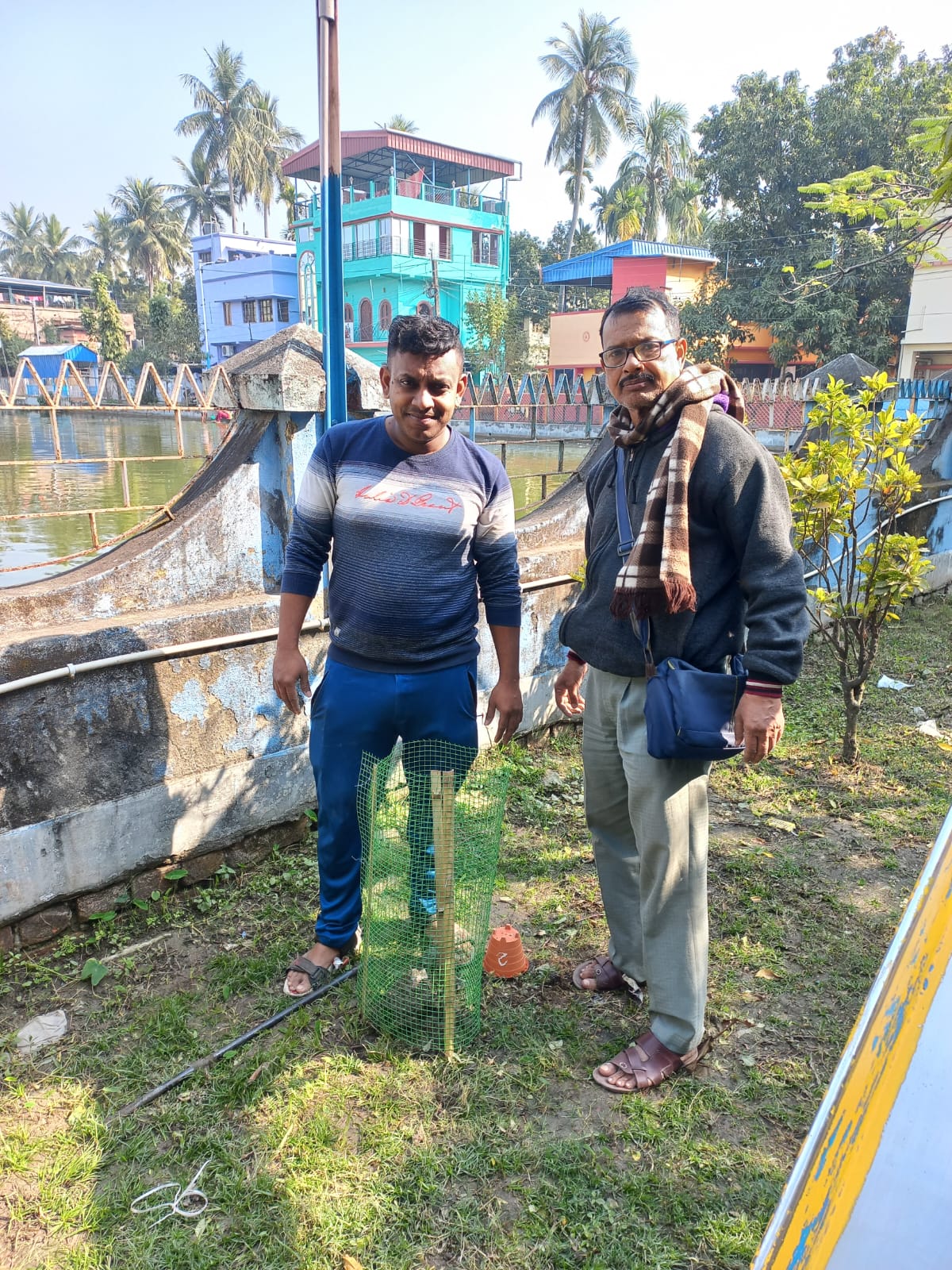 tree plantation image