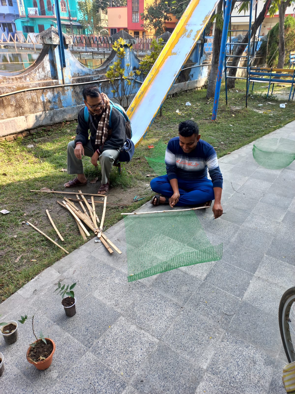 tree plantation image
