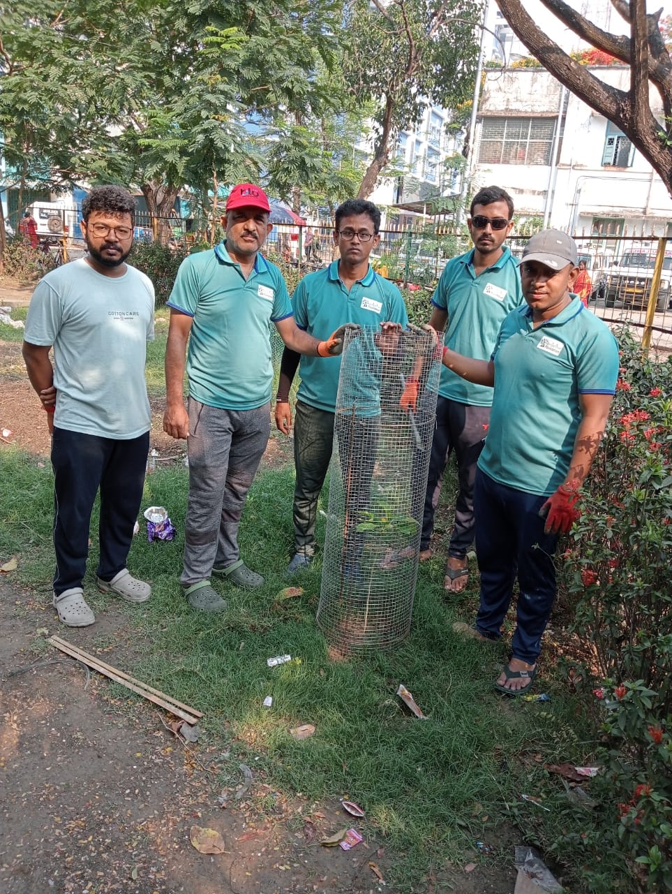 tree plantation image