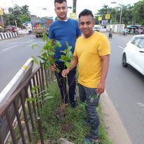 tree plantation image