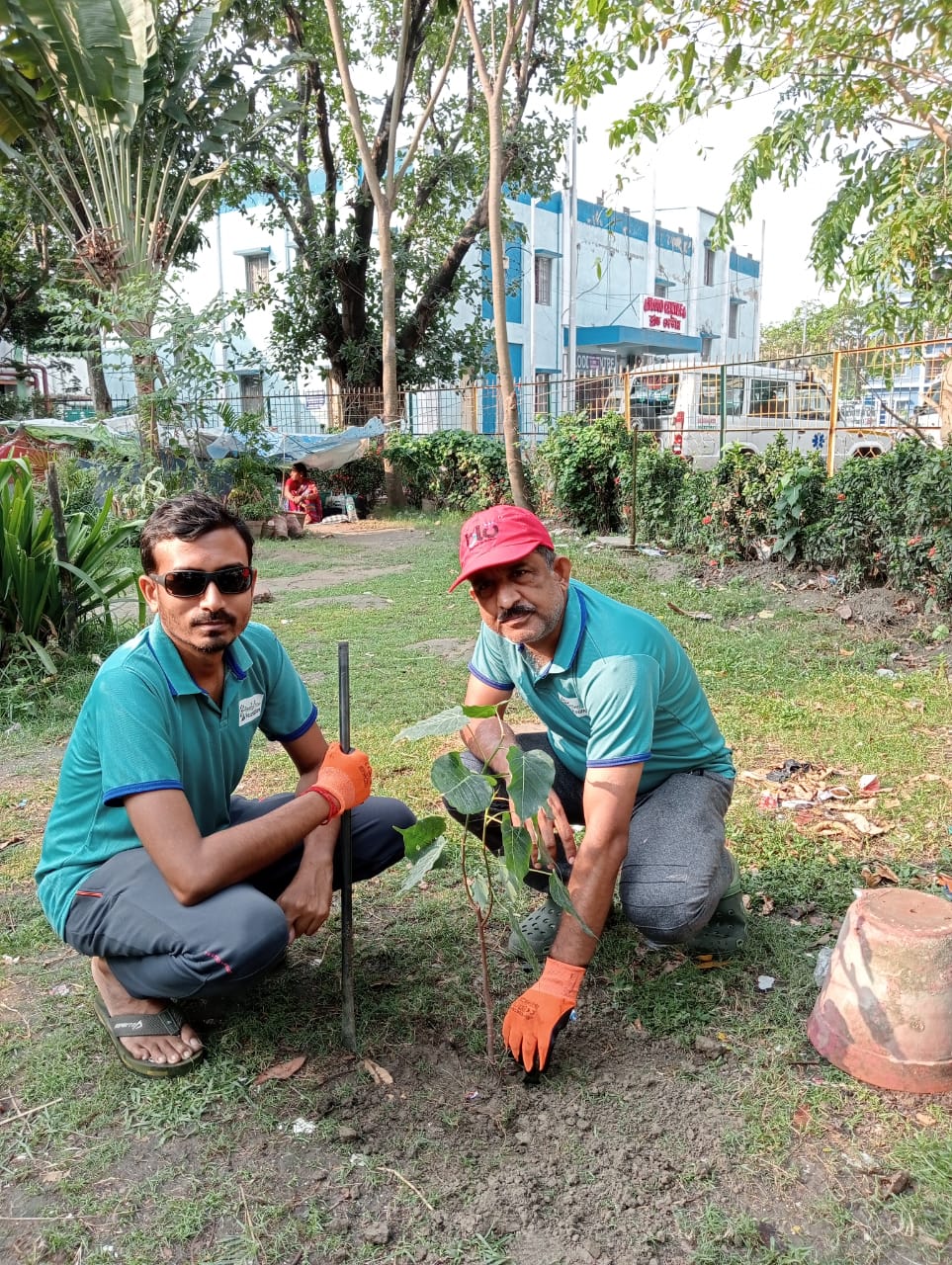 tree plantation image