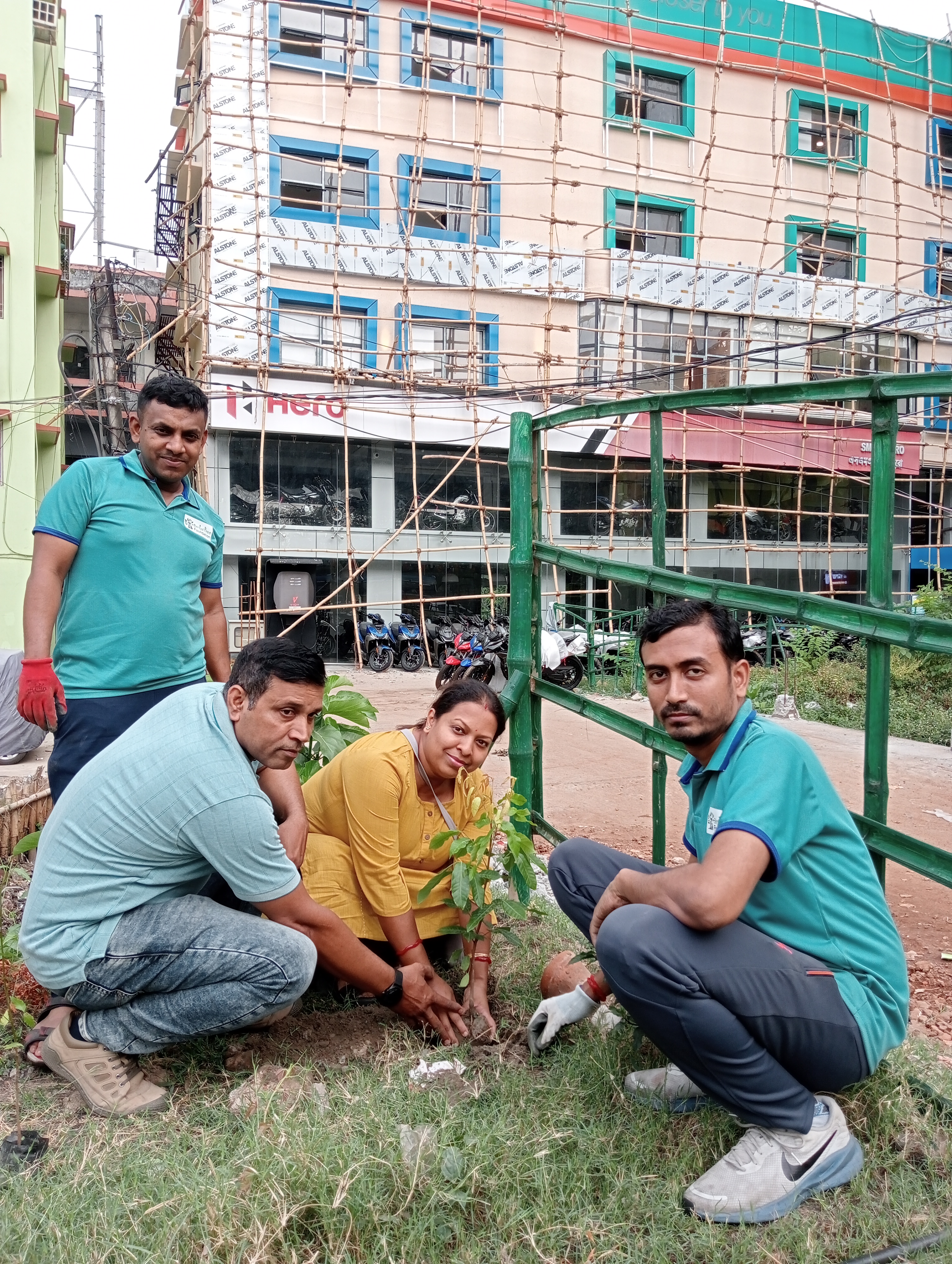 tree plantation image