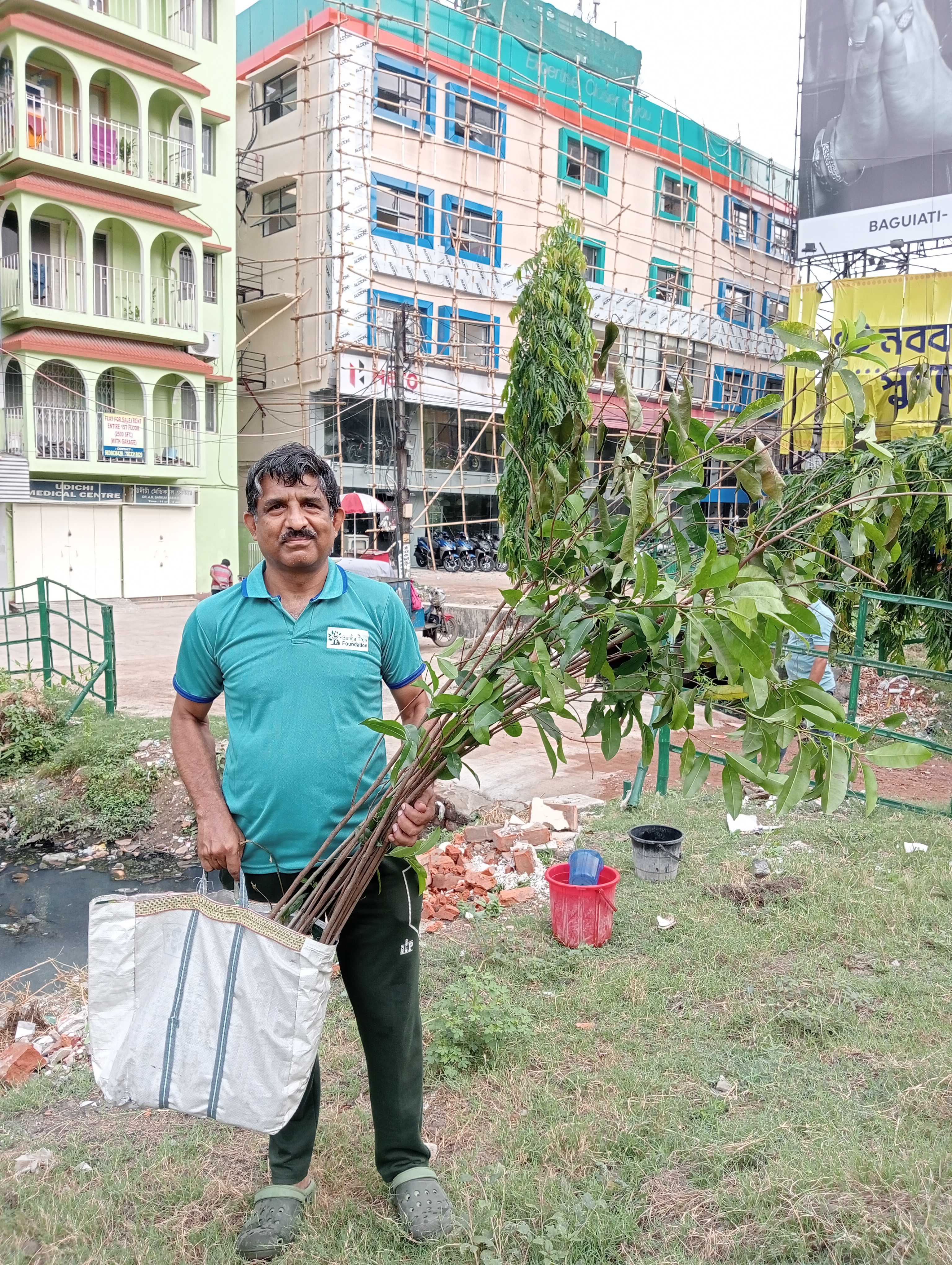 tree plantation image