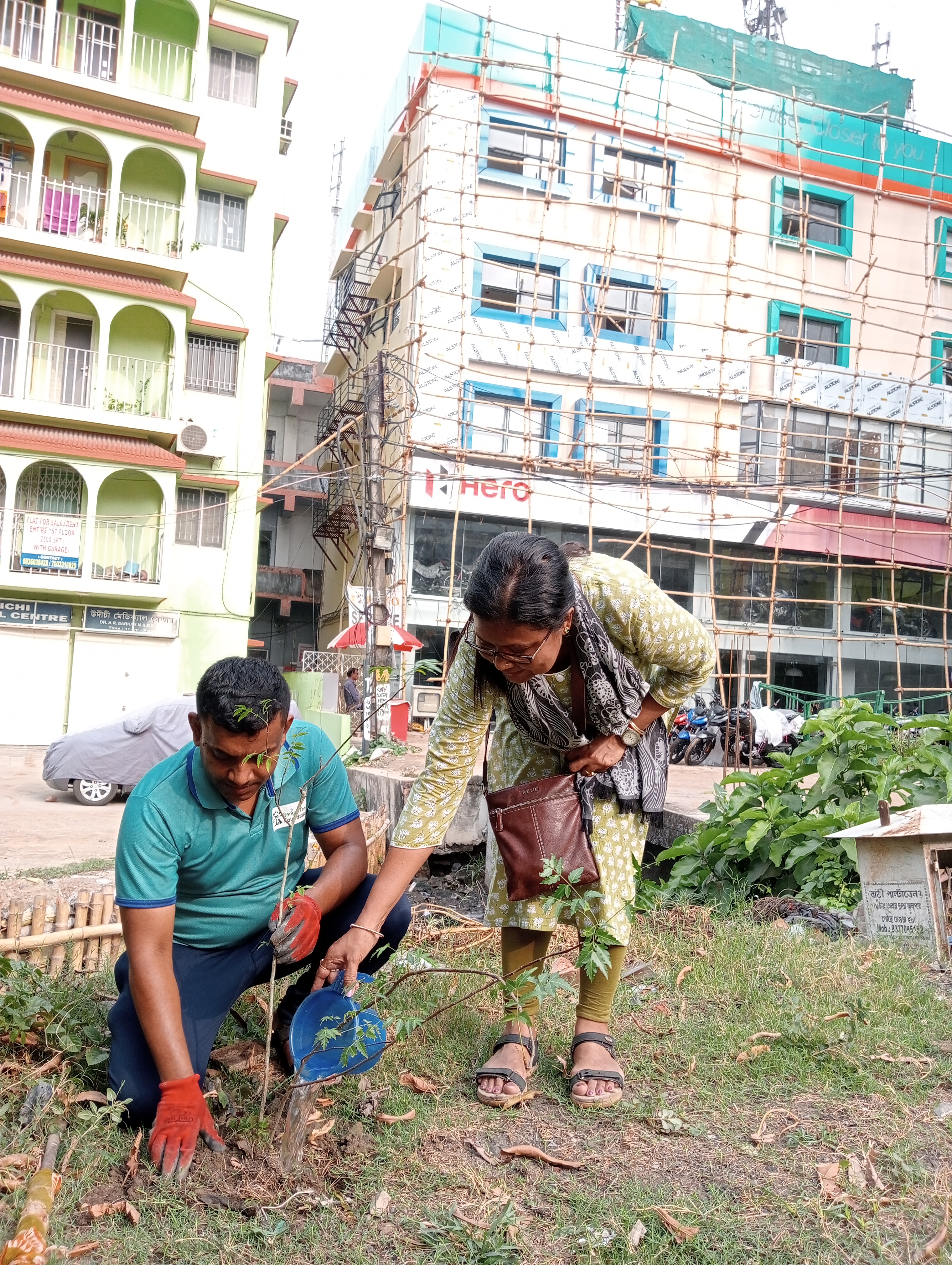 tree plantation image