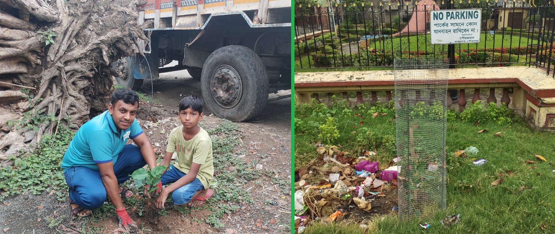 Peepal Tree Plantation with Company Collaboration