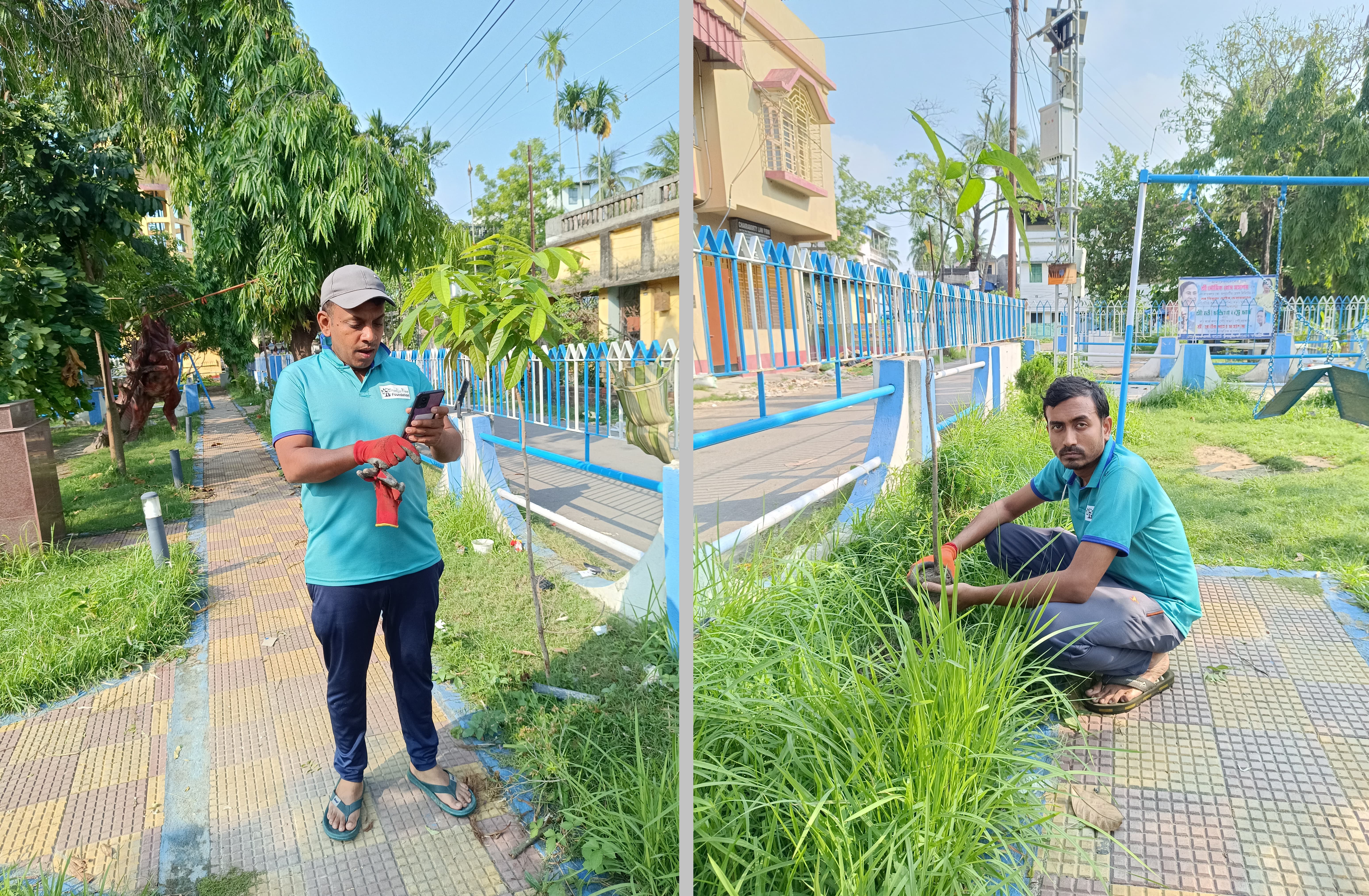 Greener Park Initiative image