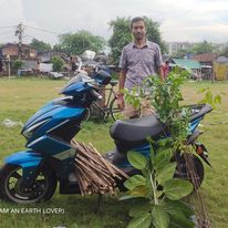 tree plantation image