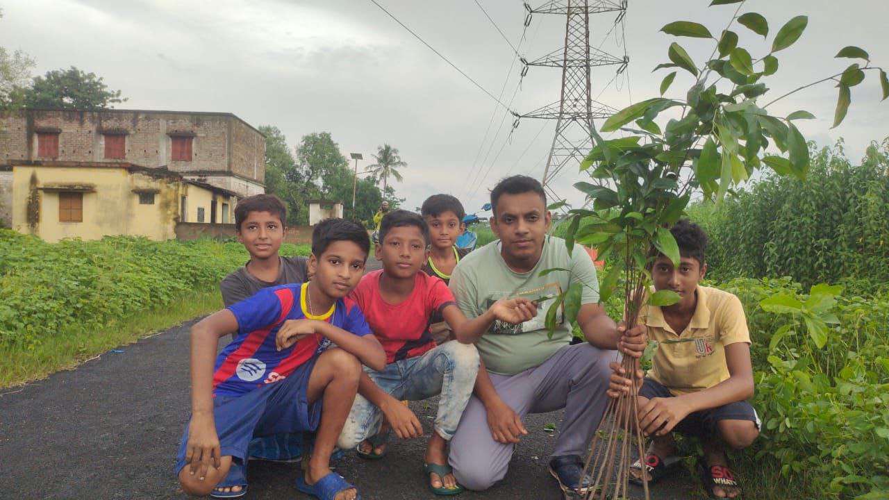 tree plantation image