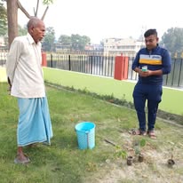tree plantation image