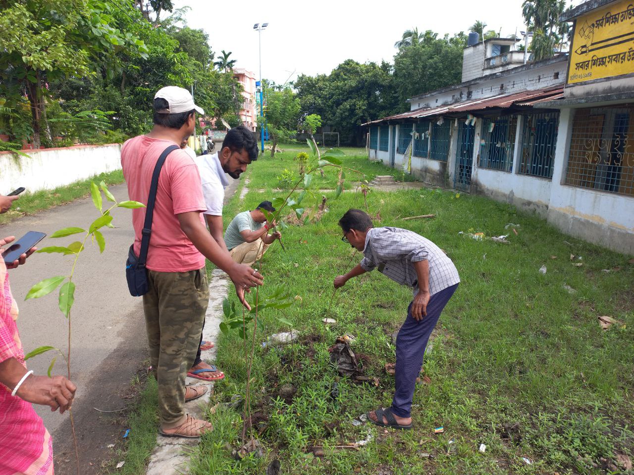 tree plantation image