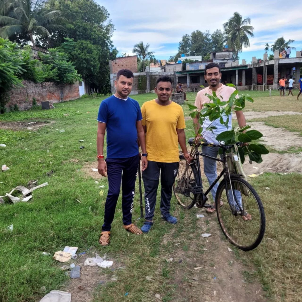 tree plantation image