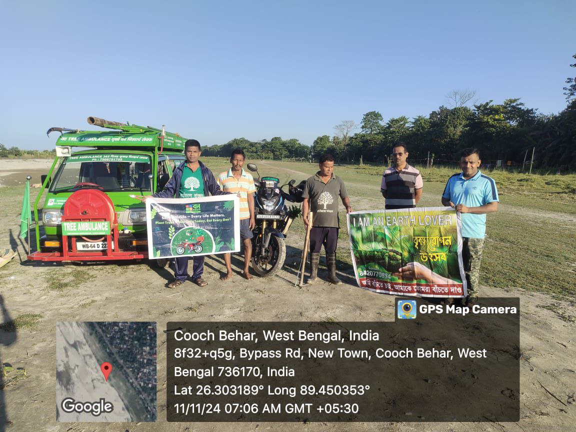 tree plantation image