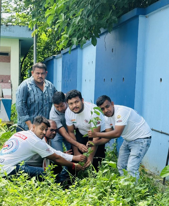 tree plantation image