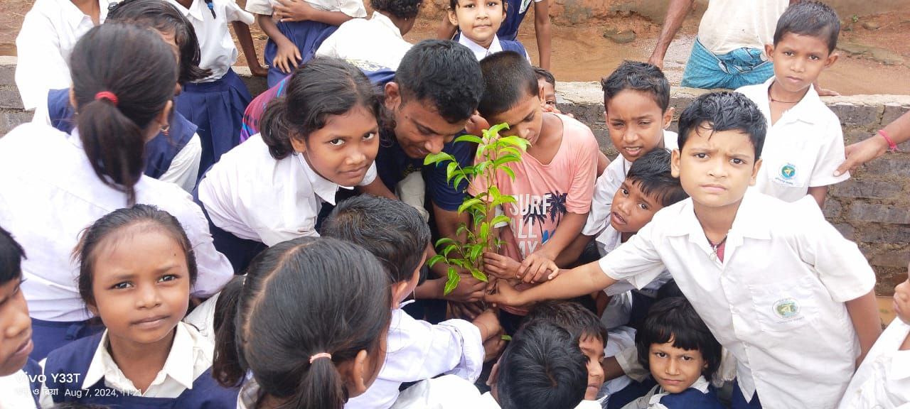 tree plantation image