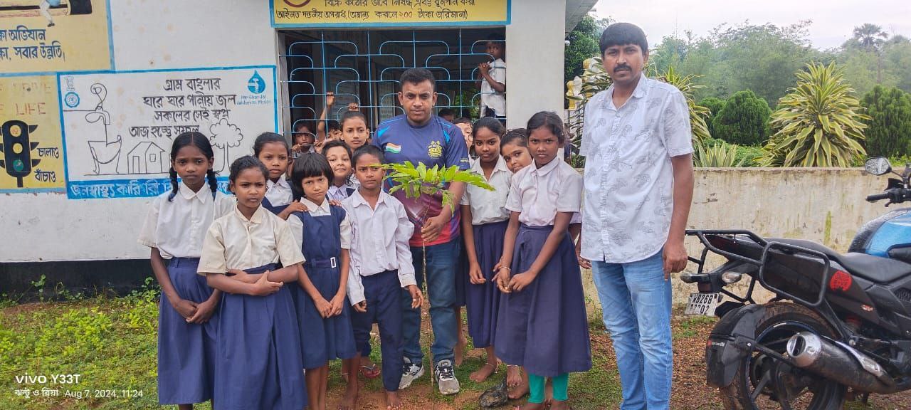 tree plantation image