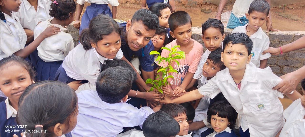 tree plantation image