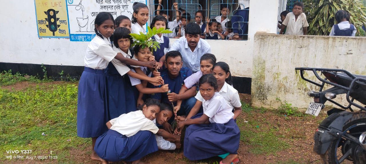 tree plantation image