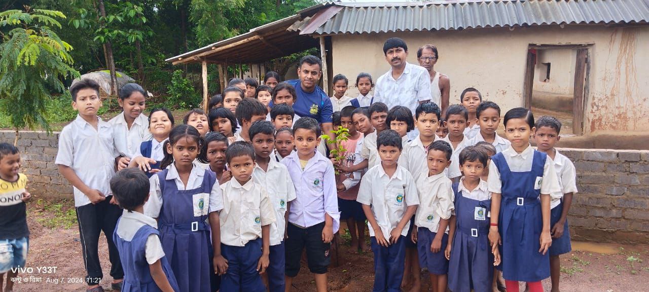 tree plantation image