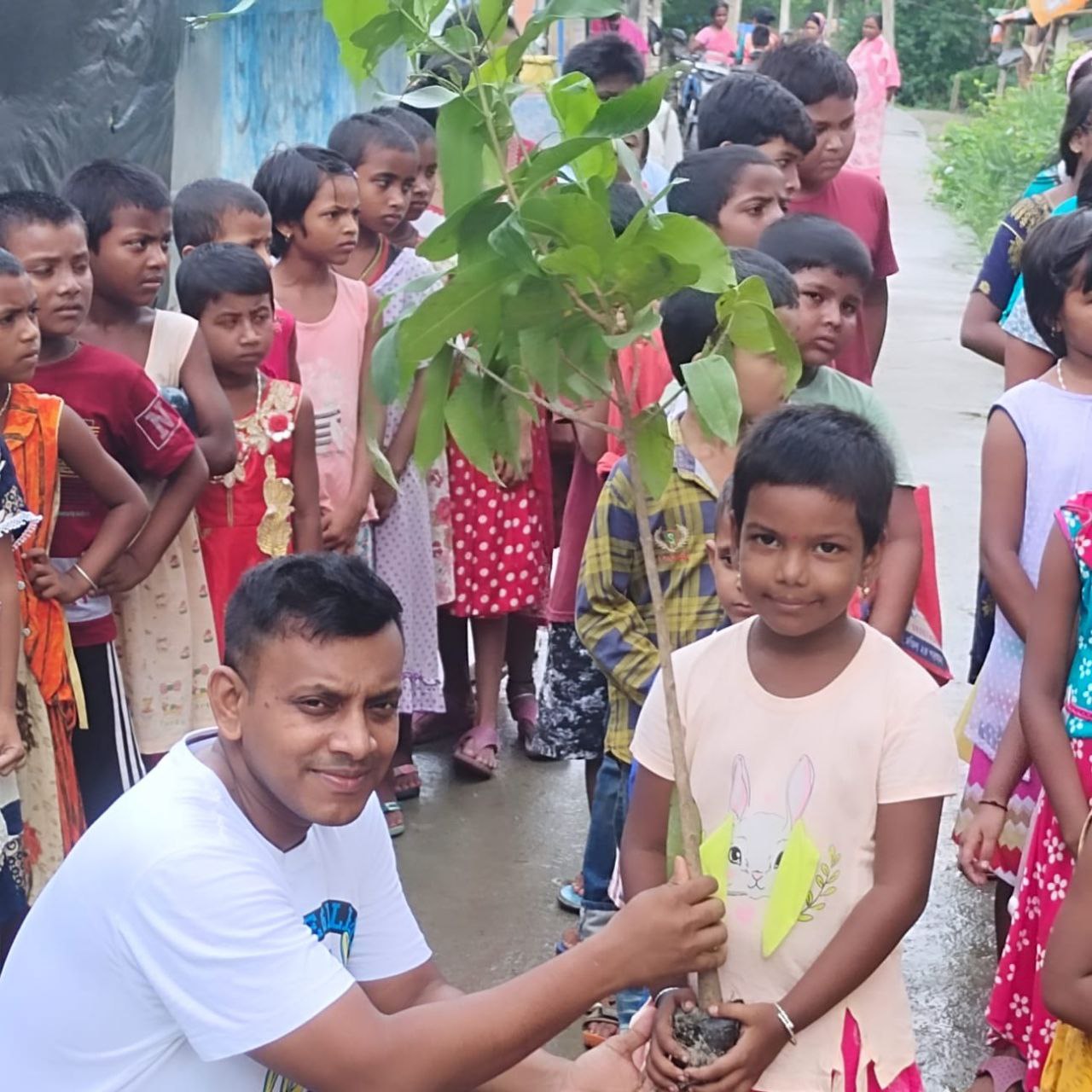 tree plantation image
