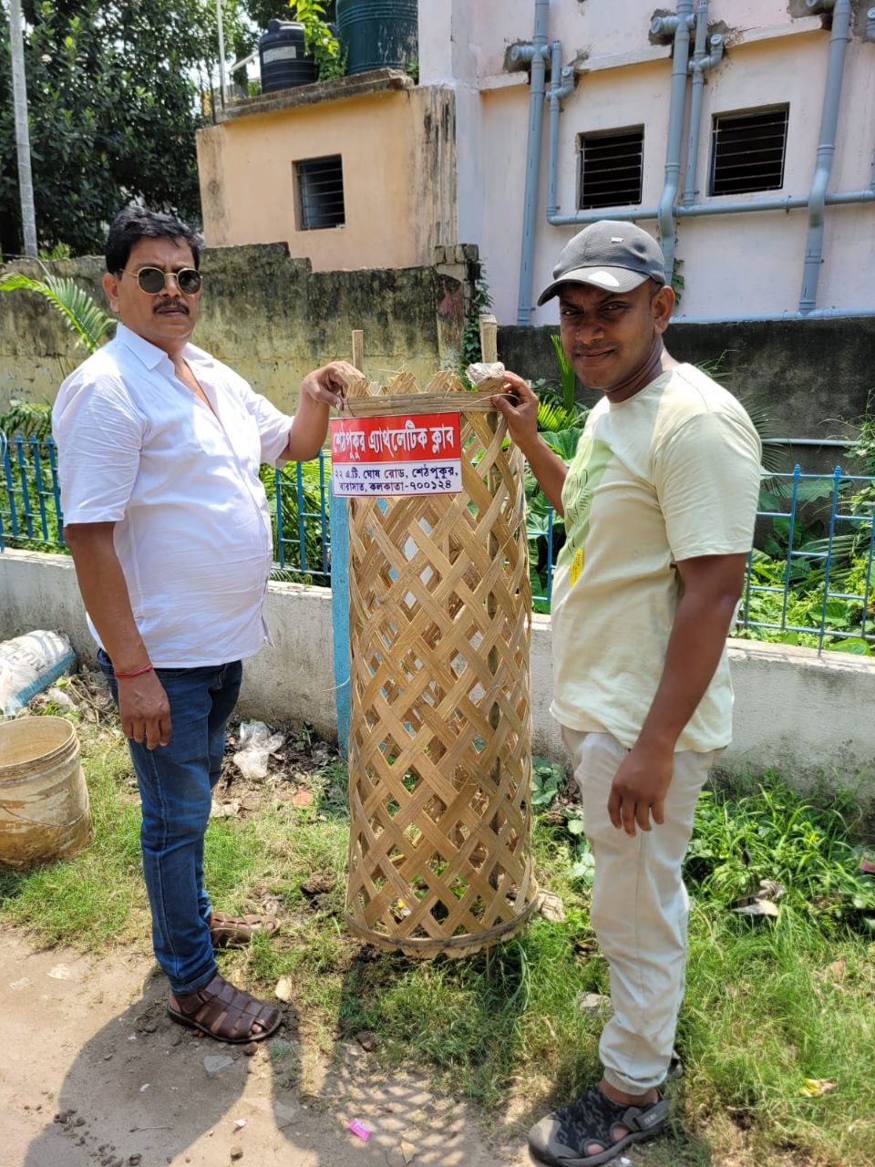 tree plantation image