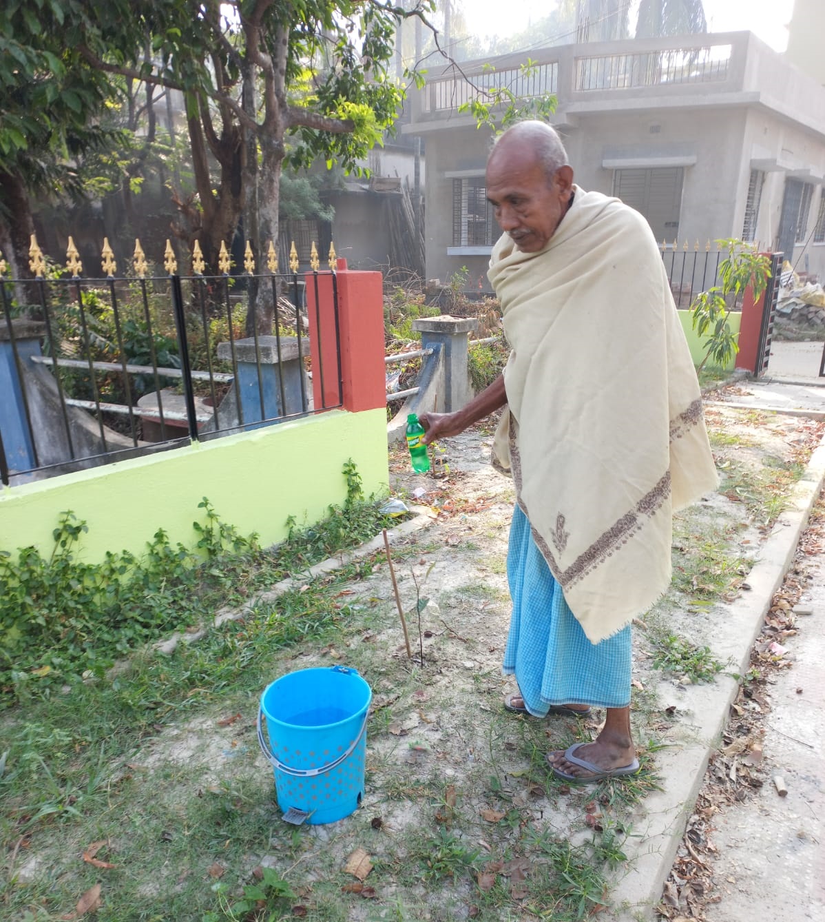 tree plantation image